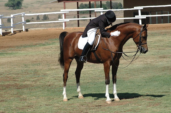 horse-riding