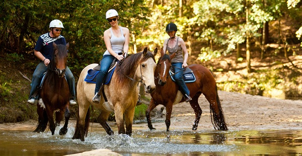 horse-riding